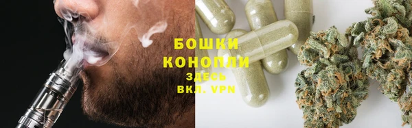 трава Великий Новгород