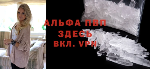 ECSTASY Лагань