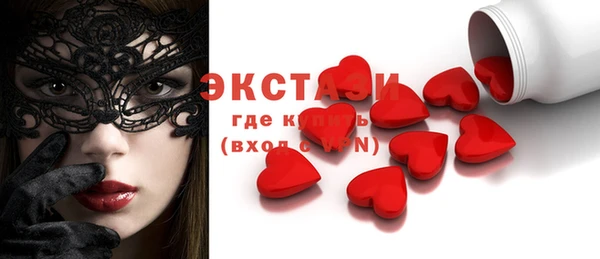 ECSTASY Лагань