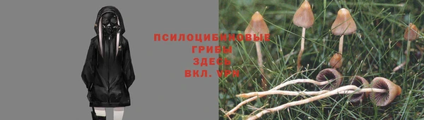 винт Ладушкин