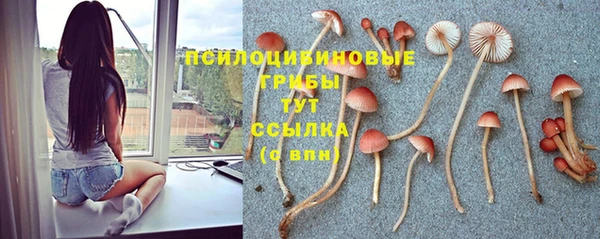 кристаллы Лабытнанги