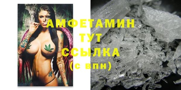 ECSTASY Лагань