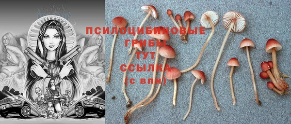 винт Ладушкин